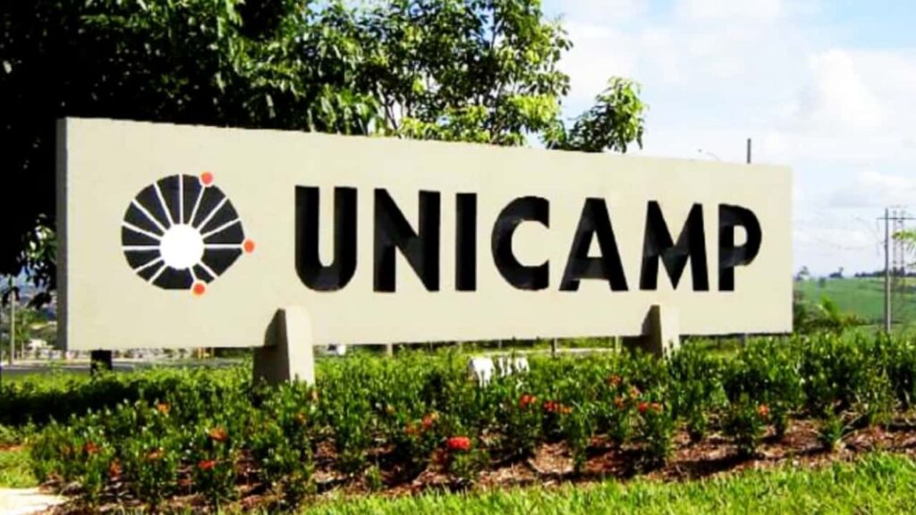 15 cursos da Unicamp para fazer online e de graça; veja as opções