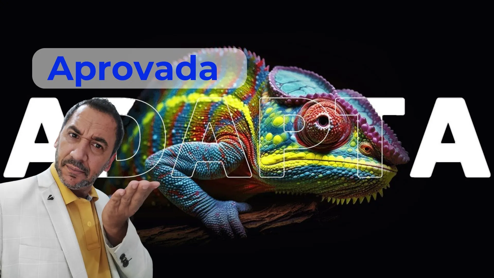 Como transformar o Adapta One em uma fonte infinita de criatividade