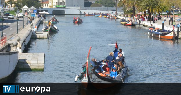 Aveiro debate futuro da Sustentabilidade e Inteligência Artificial