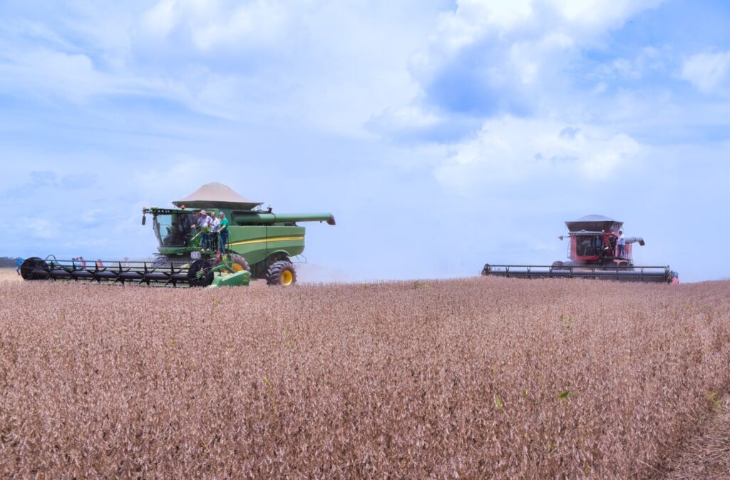 Com investimentos e trabalho efetivo do Governo, Roraima terá safra produtiva