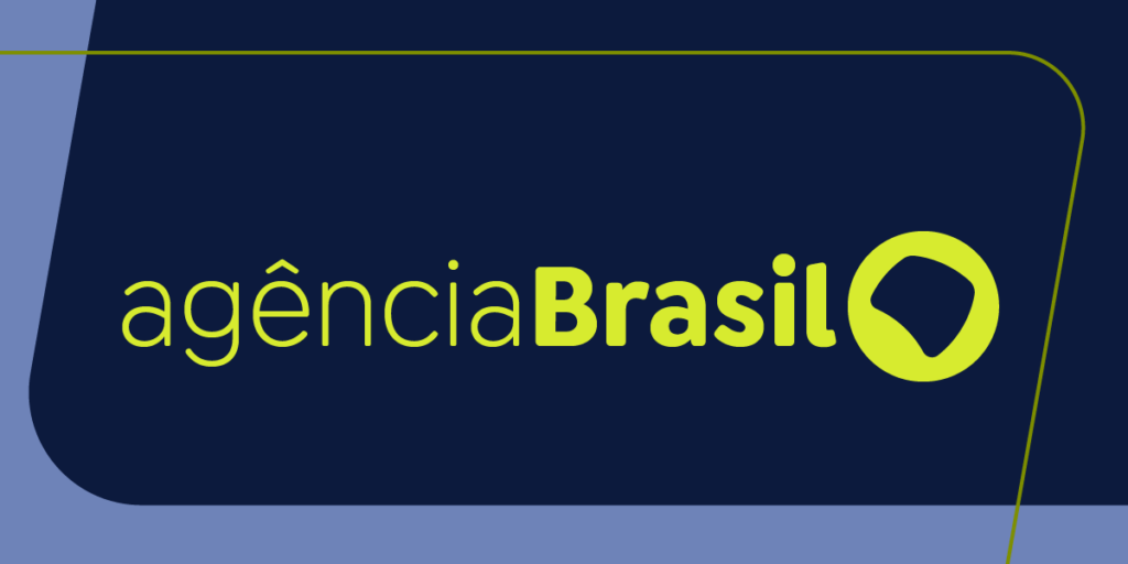 Conselho discute regulamentação de IA e redes sociais nas eleições