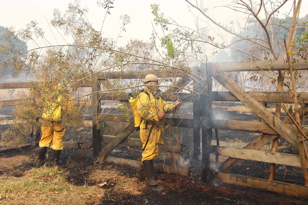 Governo deve anunciar pacote de medidas para atender produtores afetados por incêndios em São Paulo