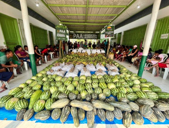 Governo do Amazonas investiu mais de R$ 400 mil na compra de alimentos da agricultura indígena