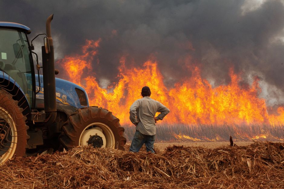 Governo federal vai enviar aviões ao interior de SP para combater incêndios