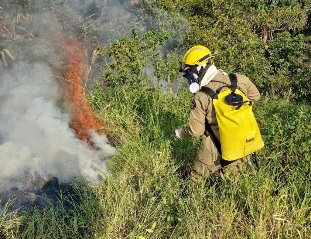 Governo intensifica ações da Campanha Respire Vida: combata as queimadas e o desmatamento