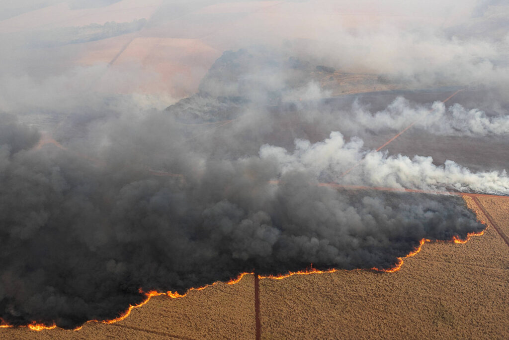 Incêndios: Governo de SP lança pacote para produtor rural - 24/08/2024 - Mercado