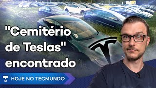 O que é o "cemitério de Teslas"? Ex-Google quer ensinar computadores a sentir cheiros