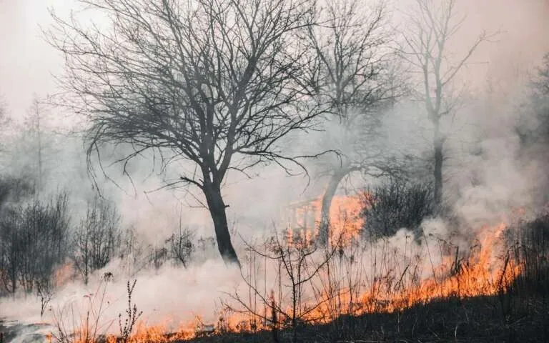 Piauí utiliza Inteligência Artificial no monitoramento e prevenção de incêndios