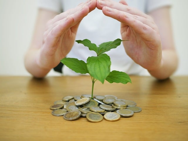 Veja Quais Outros Benefícios o Bolsa Trabalho Oferece. Entenda