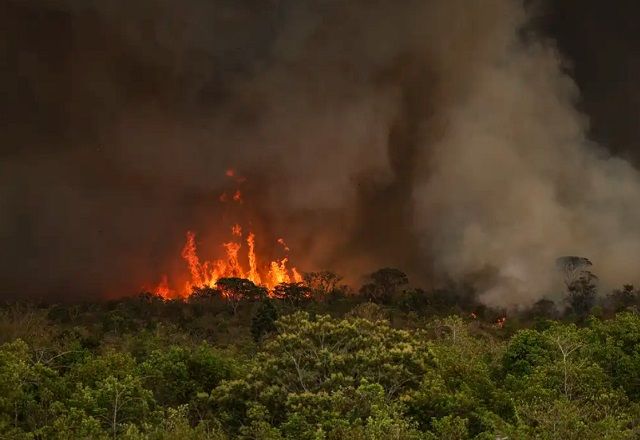 Advocacia-Geral da União cria grupo para combater crimes ambientais