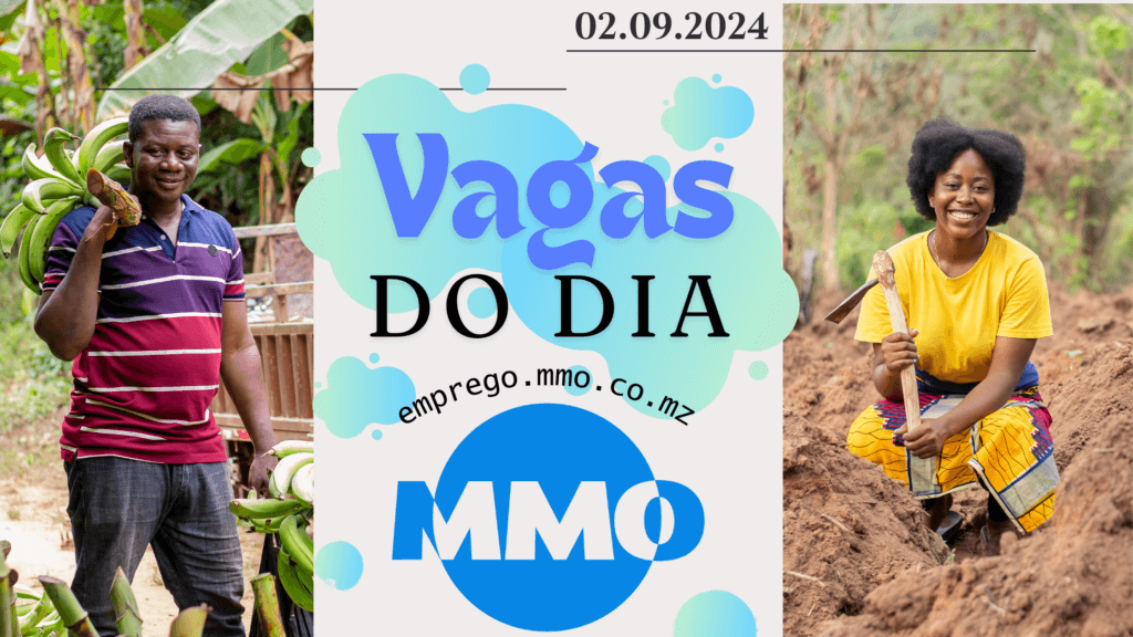 Vagas de emprego do dia 02 de Setembro de 2024 (17 vagas)