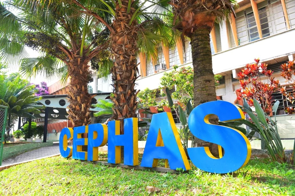 Cephas abre 2.500 vagas para cursos gratuitos a distância