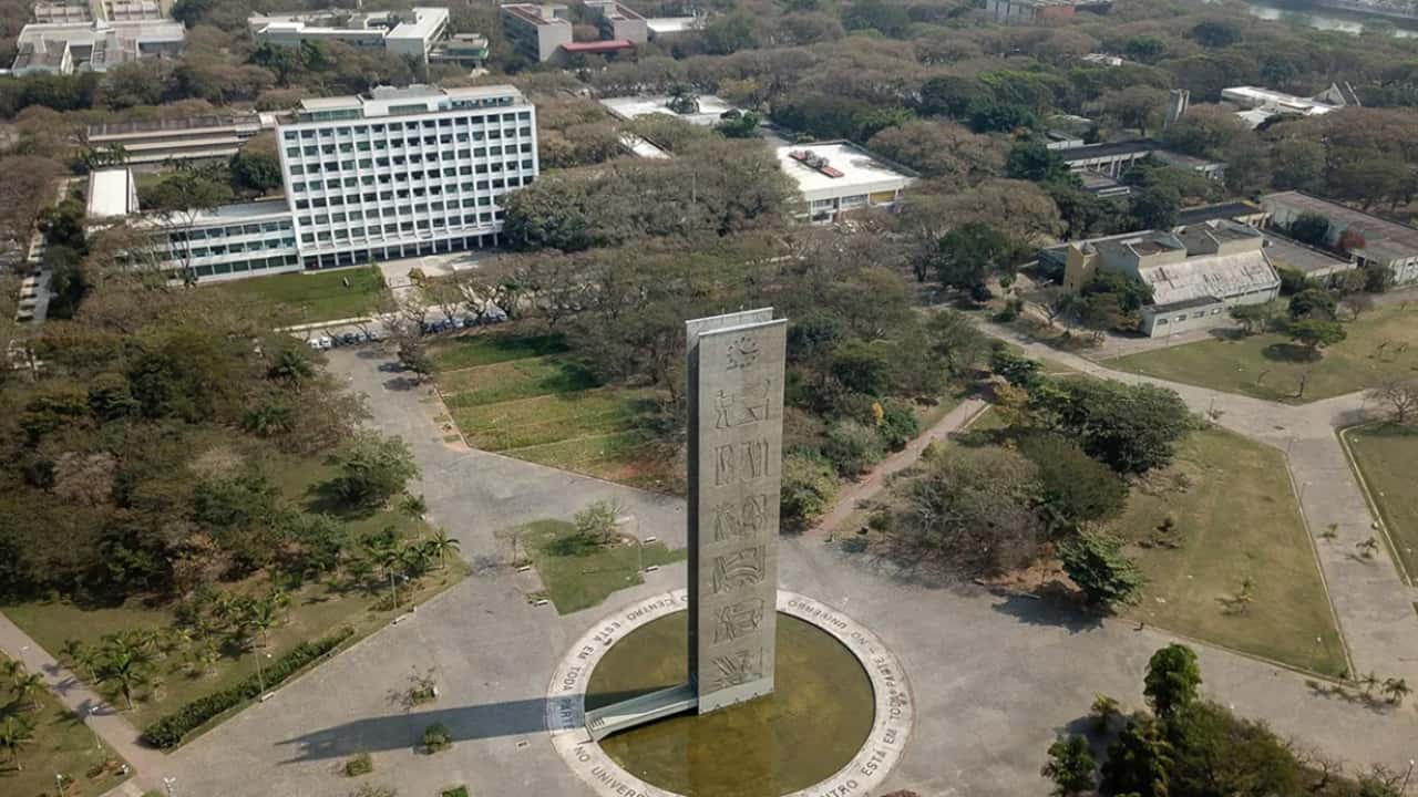 USP está oferecendo 17 cursos gratuitos online; veja a lista