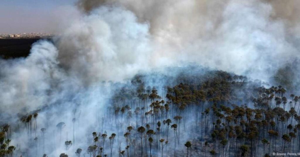 Dino autoriza governo Lula a usar crédito extraordinário fora da meta fiscal no combate a incêndios