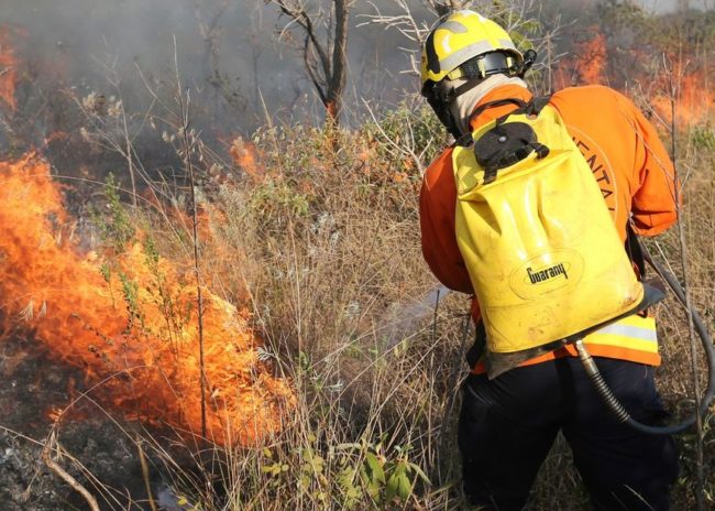 Dino autoriza governo a usar crédito extraordinário fora da meta fiscal no combate a incêndios