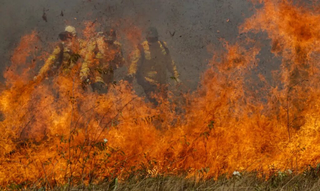 Dino diz que o país vive uma 'pandemia de incêndios florestais'