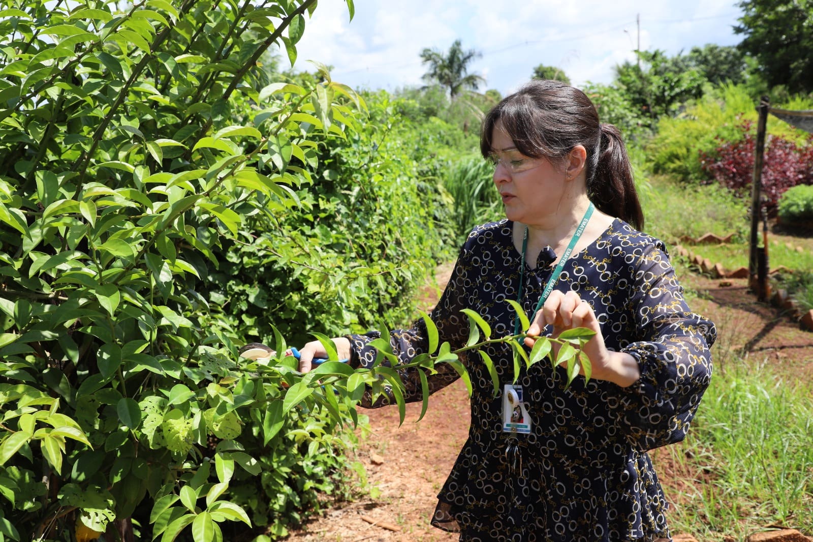 Governo abre 25 vagas temporárias para Emater