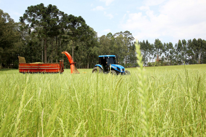 Governo renova Fundo de Aval para garantia em financiamentos à agricultura familiar