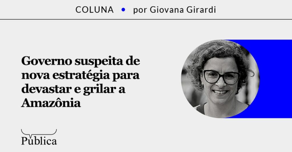 Governo suspeita de nova estratégia de grilagem na Amazônia