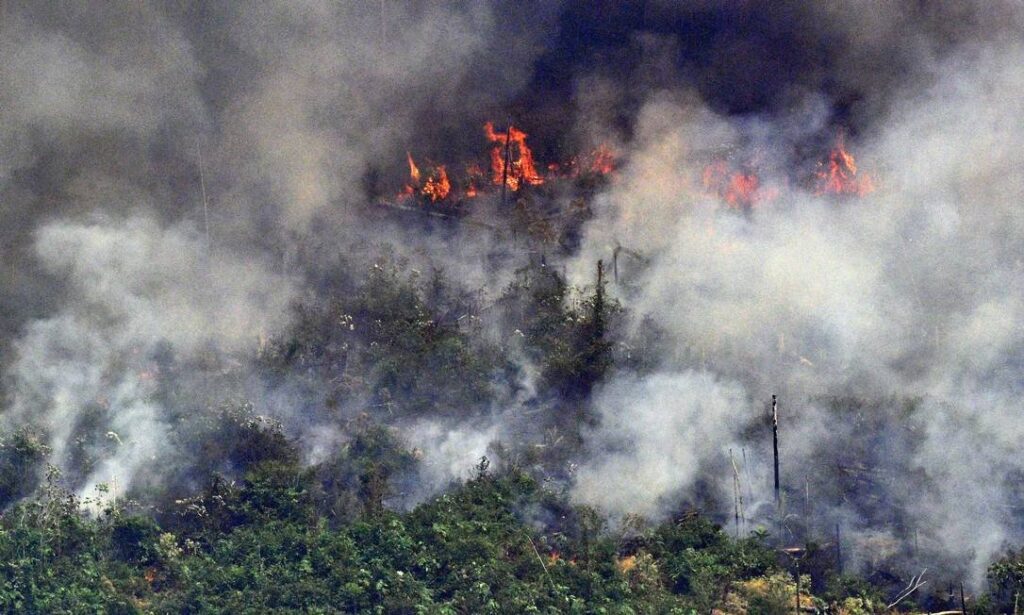 STF manda aumentar efetivo das forças no combate aos incêndios florestais