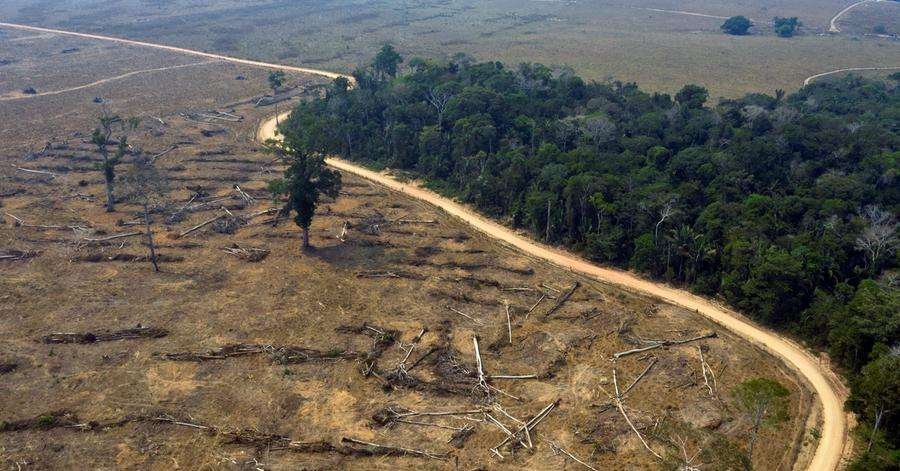 STF prorroga prazo para governo apresentar plano de ação para Amazônia