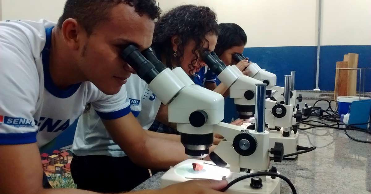 Senai abre mais de 12 mil vagas para cursos gratuitos no Pará; veja como se inscrever | Economia