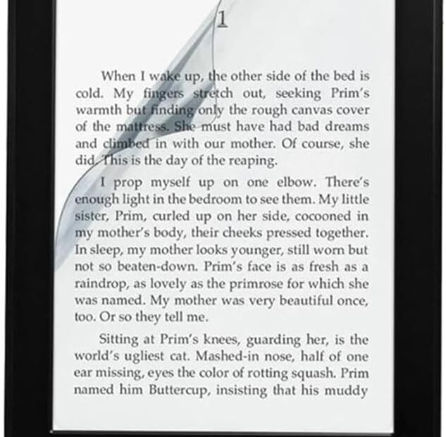 514dRik2i4L. AC SL1000