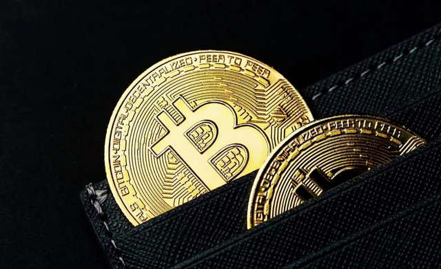 Últimos destaques sobre adoção institucional do Bitcoin