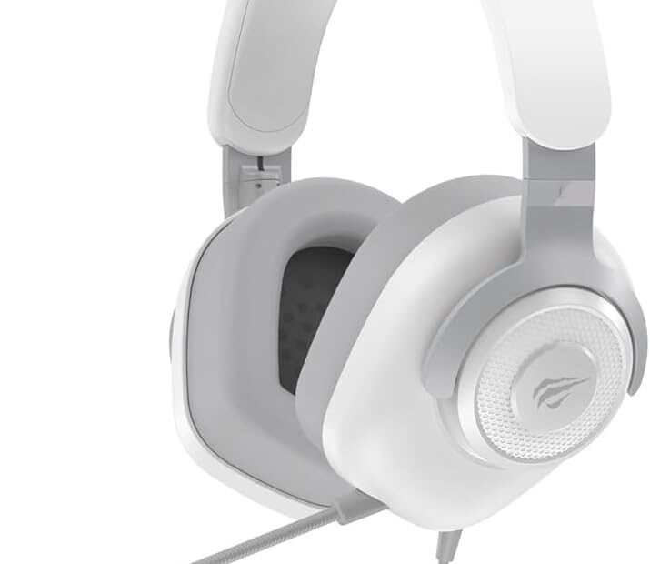 41Mbwe91SbL. AC SL1000