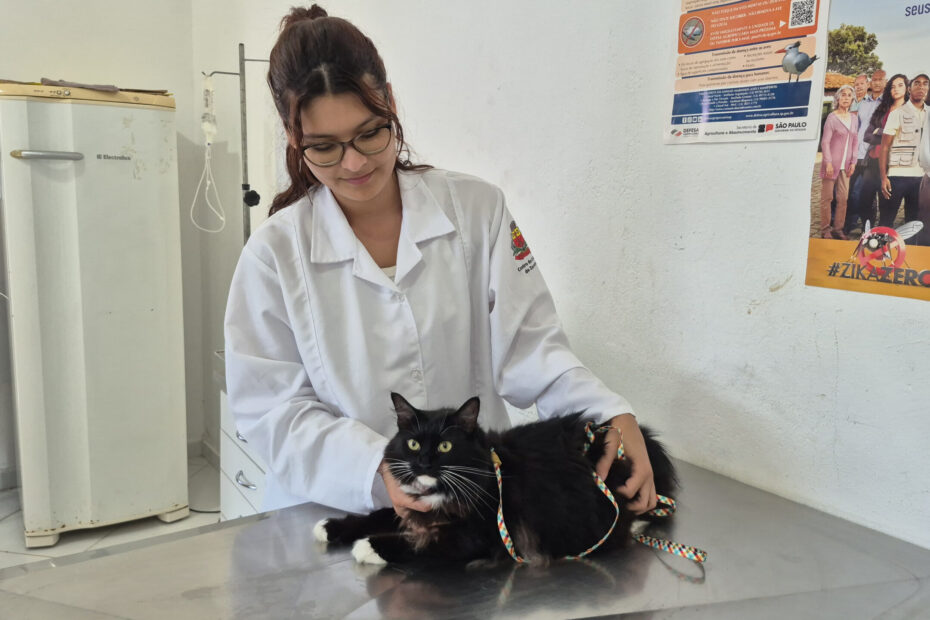 CCZ abre 250 vagas do Programa de Controle Populacional de cães e gatos nesta sexta-feira – Prefeitura de Caraguatatuba