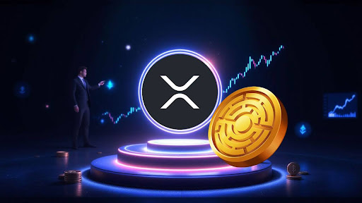 CTO da Ripple Revela Previsão Sobre o Preço do XRP, Esta Nova Criptomoeda Superará a Tendência de Preço do XRP?