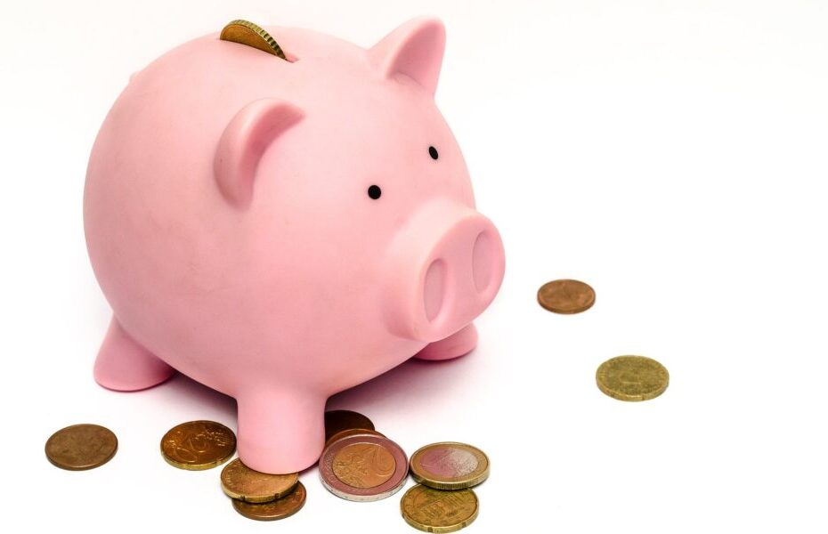 Aprenda a economizar e multiplicar o seu dinheiro com essas dicas básicas de finanças e economias.
