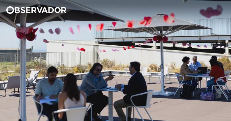 Fizemos speed dating científico, da Inteligência Artificial às pradarias da Ria de Aveiro — e seis encontros tornaram-se sete – Observador