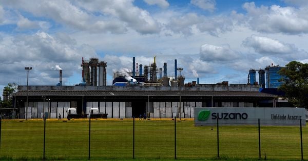 Suzano abre programa de estágio de nível técnico com vaga no ES