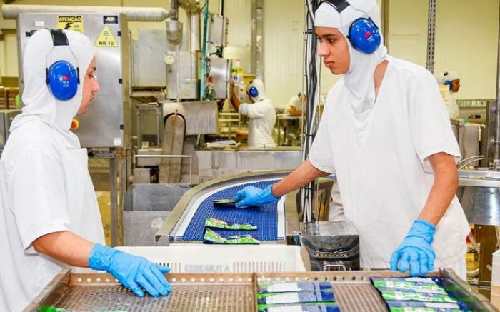 Nauterra tem feirão de empregos com 200 vagas