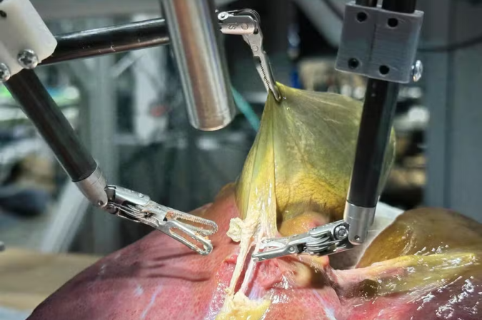 Robô realiza primeira cirurgia em tecido humano guiado totalmente por IA -  (crédito: Juo-Tung Chen / Johns Hopkins University)