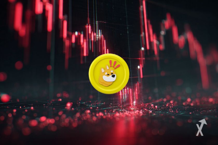 BONK manterá o suporte ou continuará a cair ?