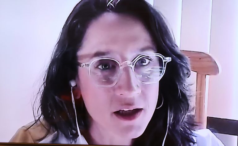 Audiência Pública - Efeitos da inteligência artificial sobre os direitos humanos. Diretora de Promoção da Liberdade de Expressão e Enfrentamento à Desinformação da Secretaria de Comunicação Social da Presidência da República (SECOM/SPDIGI), - Secretaria de Comunicação Social da Presidência da República, Marina Pita