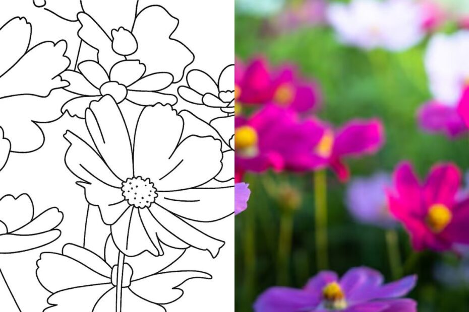 Uma imagem de flor convertida em Bobbie Goods