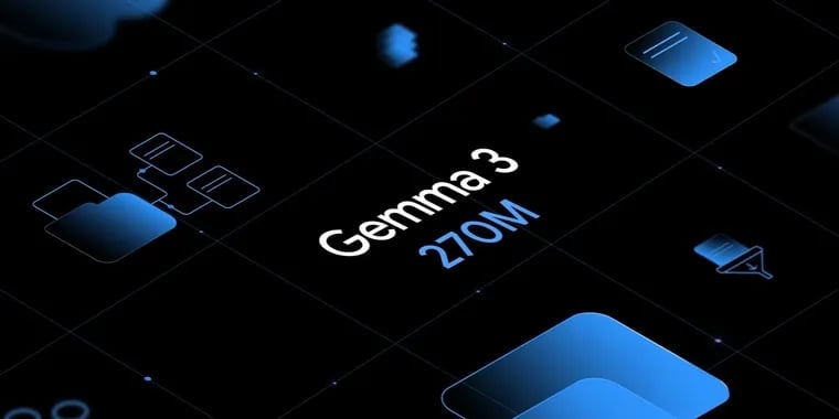 Google Gemma 3 270M