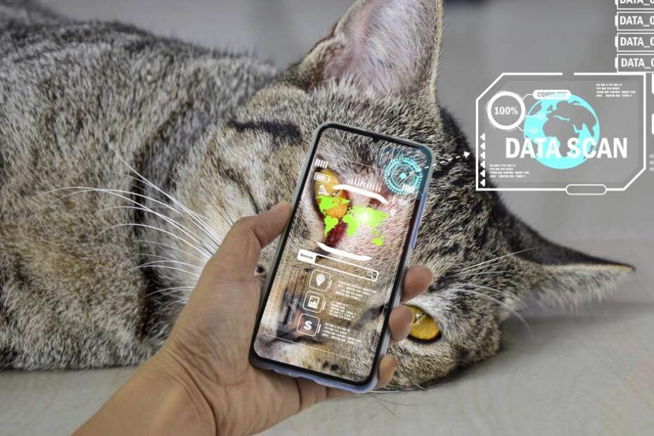 Inteligência artificial chega ao mercado pet e muda forma de cuidar dos animais no Brasil