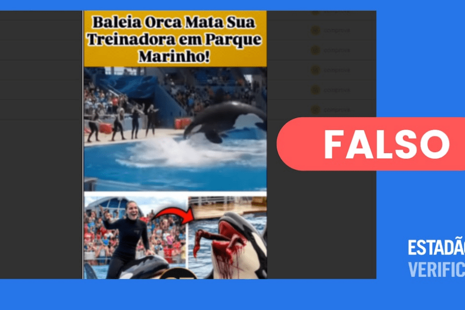 Vídeos de ataque de orca a treinadora Jessica Radcliffe foram feitos com IA