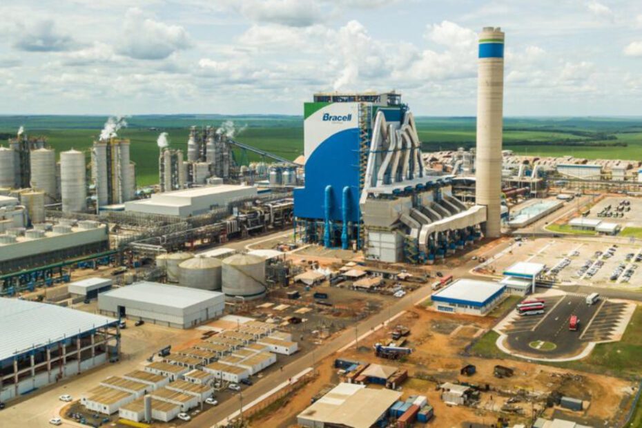 Bracell abre vagas de emprego em diferentes cidades