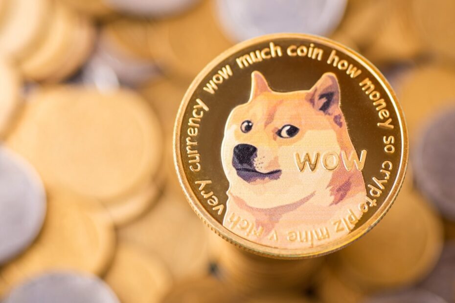 Empresa lança tesouraria de Dogecoin (DOGE); ações despencam
