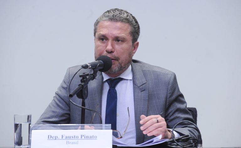 Dep. Fausto Pinato fala no evento do Brics