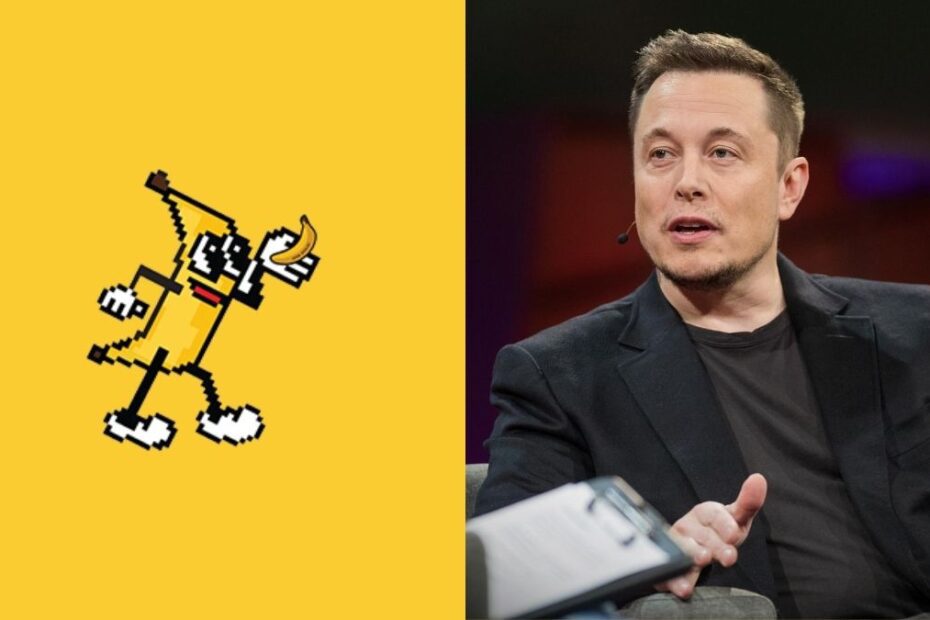 Banana For Scale (BANANAS31) foi endossada por Elon Musk em novembro de 2024