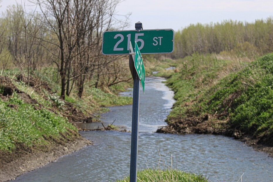 Multas de trânsito da Prefeitura SP