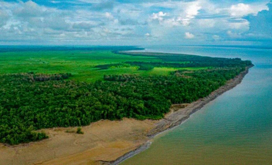 Novo mapeamento com Inteligência Artificial ajudará a prevenir desmatamento na Amazônia