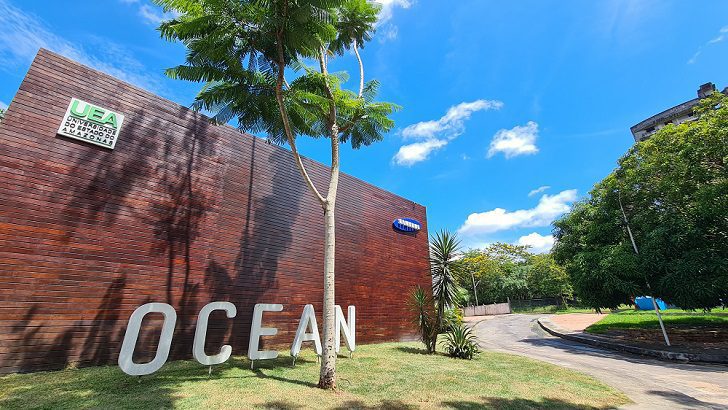 Samsung Ocean oferece aulas gratuitas sobre Prototipação, IA, Realidade Virtual e outros temas até o fim do mês – Samsung Newsroom Brasil