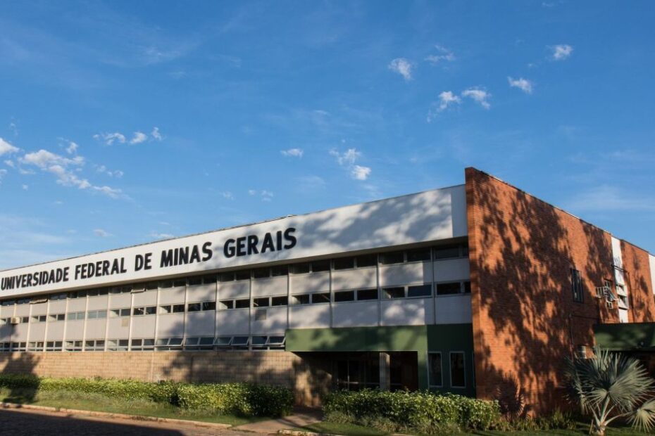 UFMG oferece cursos EaD gratuitos com 600 vagas; veja como se inscrever